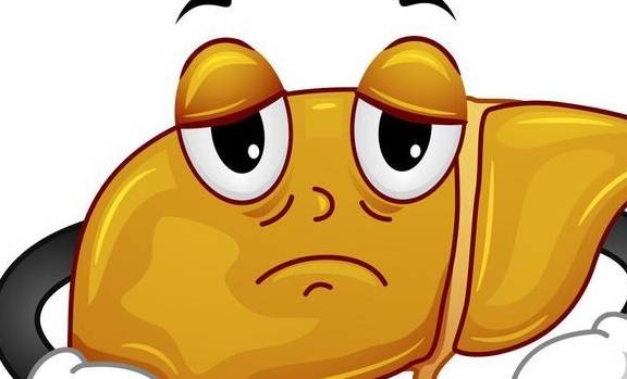 肝脏|肝好了,其他脏器才会好!护肝3宝,为你的肝脏保驾护航!