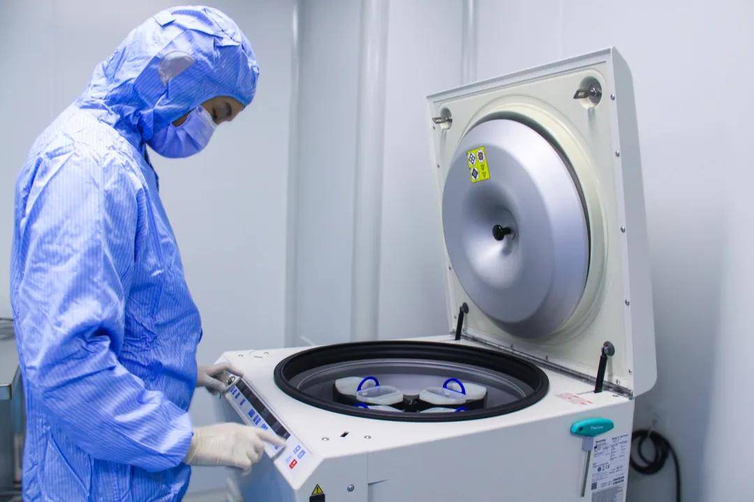 储存干细胞让生命重新焕发活力!细胞健康=身体健康_治疗_疾病_人体