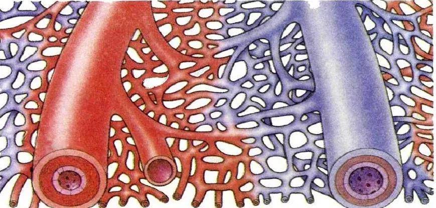 科普|明医科普丨不看不知道，原来采血有这么多门道