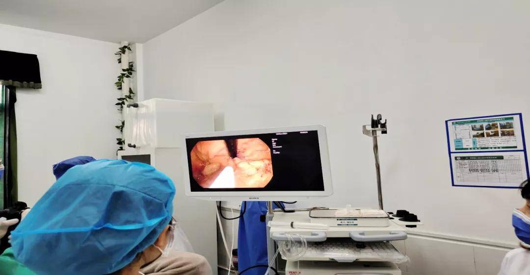 常德市第四人民医院消化内科成功开展组织胶注射栓塞术_患者_内镜