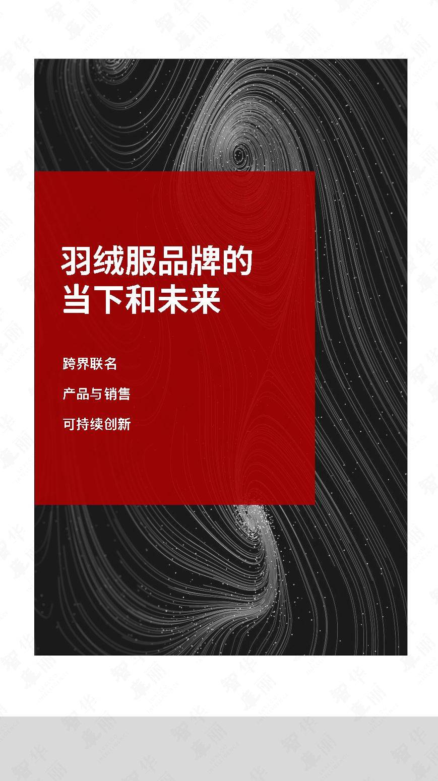 品牌 2020年全球羽绒服品牌研究报告-华丽智库