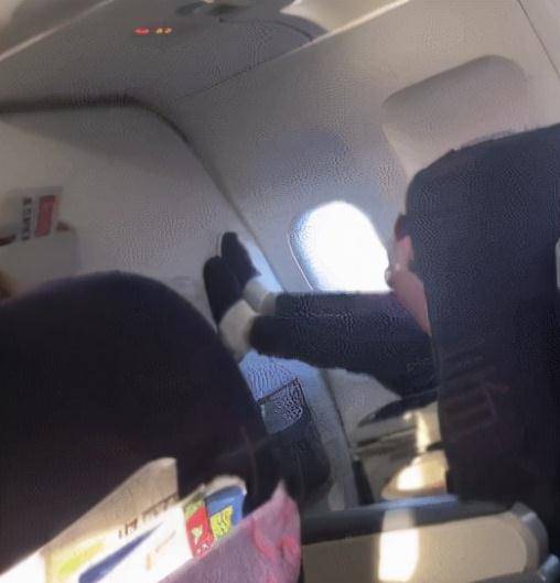 骰子|从“情感专家”，到专职带货，涂磊是如何自毁前程的？