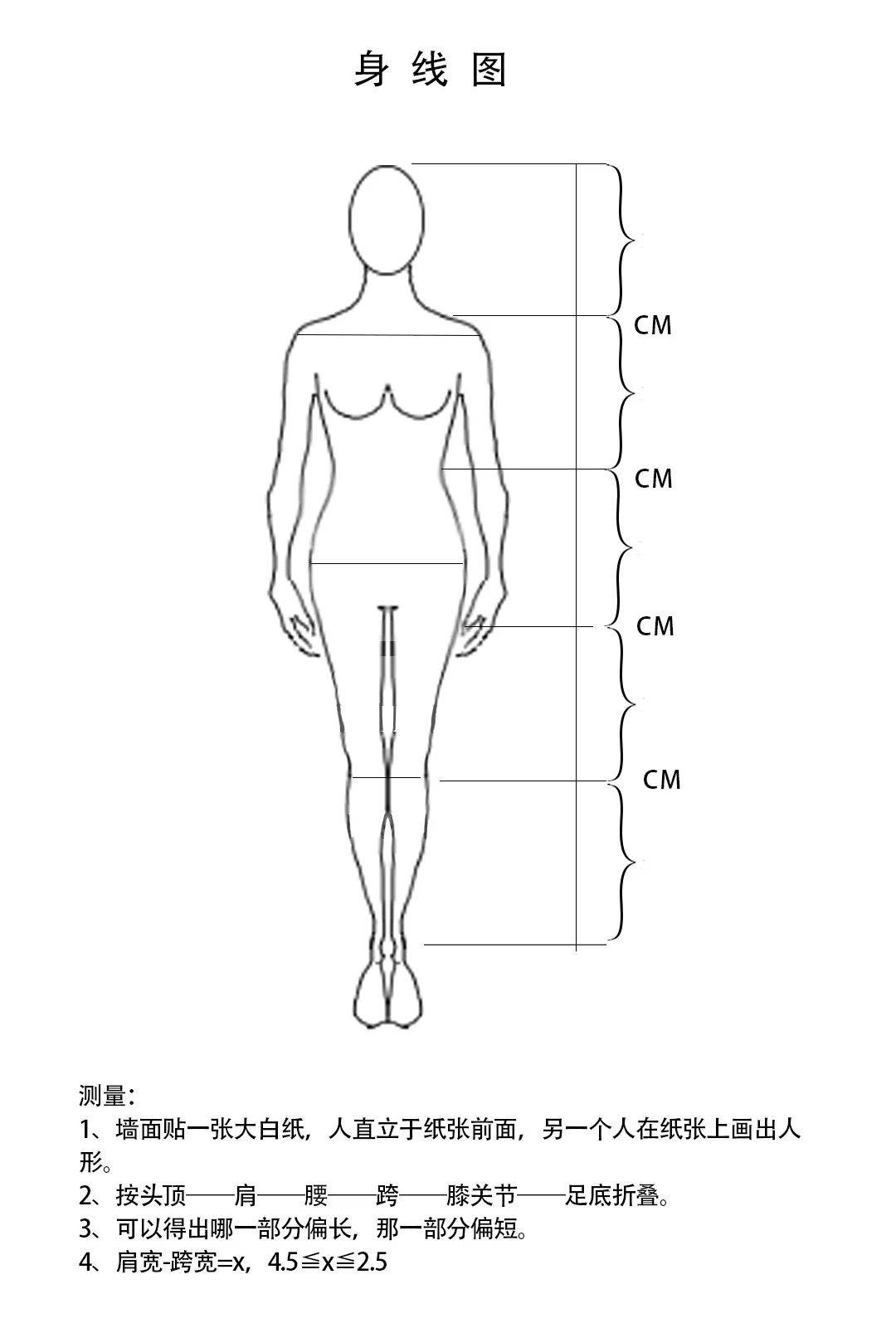 人体体型分析图片