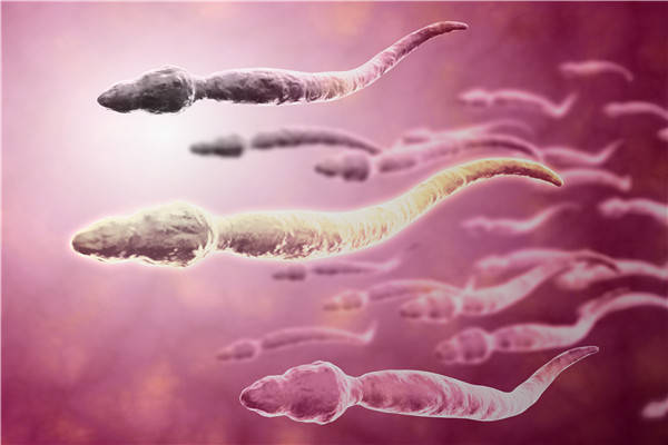 很多男性都会有精子畸形的现象,我们都知道精子的外形就像是小蝌蚪,有