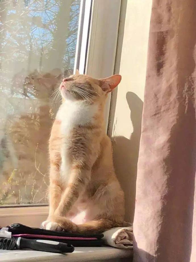 冷知识冬季如何正确的晒太阳