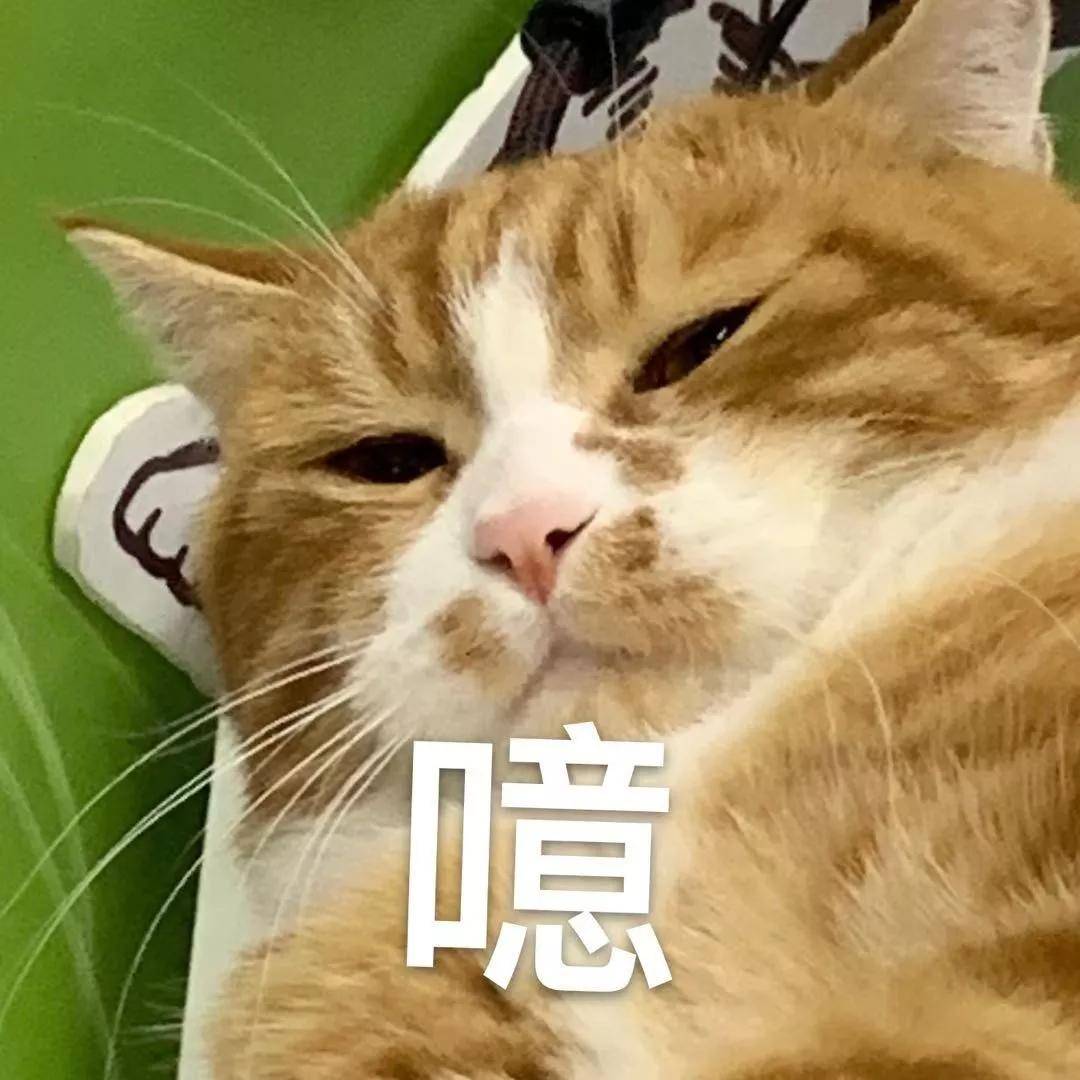25d2479496774175b118275141e77661.jpeg