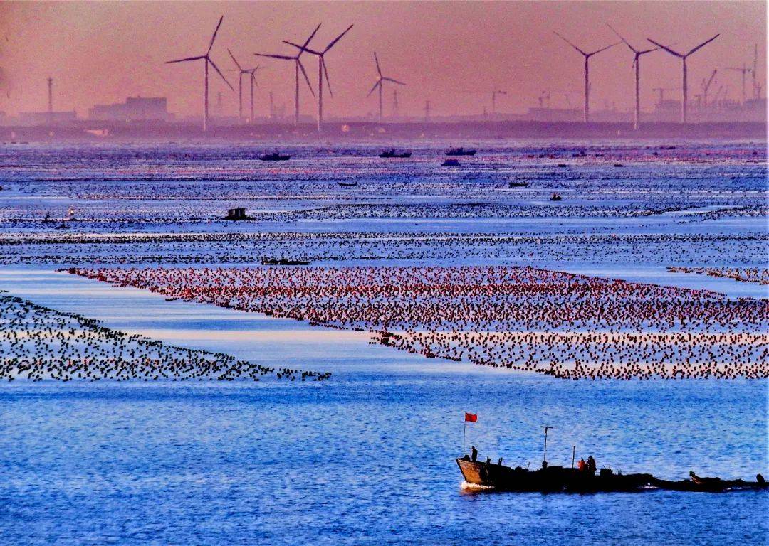 瞬间|不要太美！旅图胜景，动人瞬间，看看你最钟意的风景在哪里？