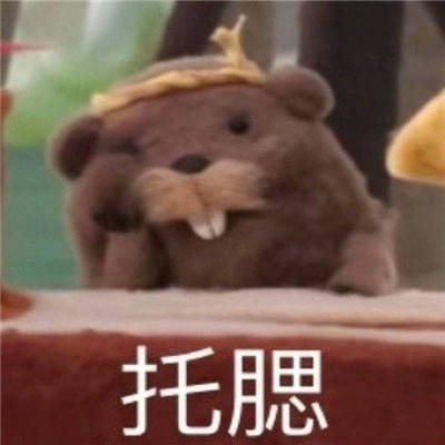 3aa2f1711bb040db84af08174946b8d3.jpeg