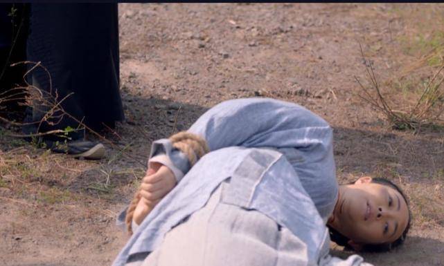 《斛珠夫人》大结局,方海市的母亲死了,3个细节让人无语!