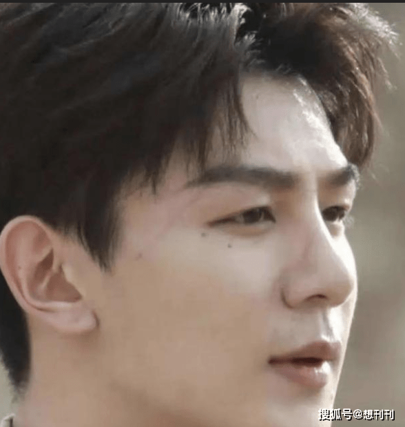 因为内娱“假鼻子”大PK,谁的假到逆天,谁的越整越残?