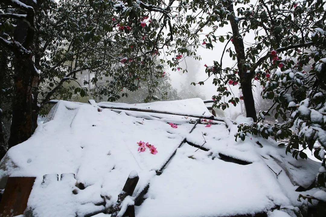 雪景|你还记得腾冲那些年的雪吗