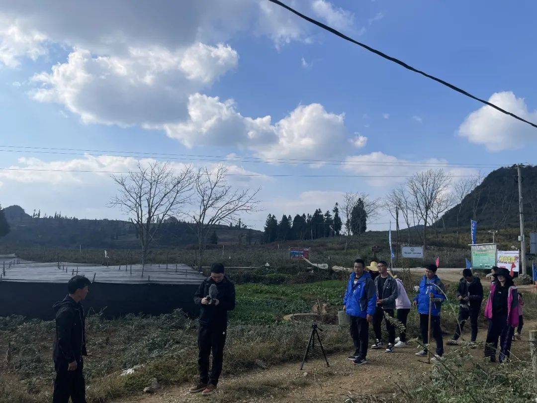3年时间,老农靠它挣了32套房_程墩儒_山豆根_肥料