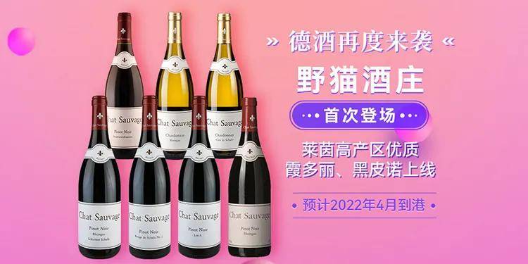 Weingut|德酒再度来袭，野猫酒庄（Weingut Chat Sauvage）！