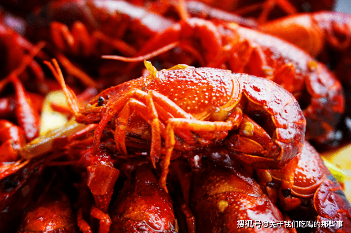 bfc95317676d417baa5de7d524024fd4.png