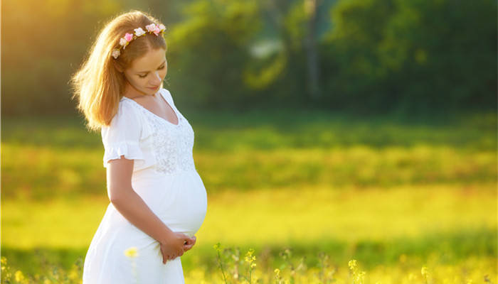 电动吸奶器排行_2021-2027年中国电动吸奶器行业调研与趋势预测报告(2)