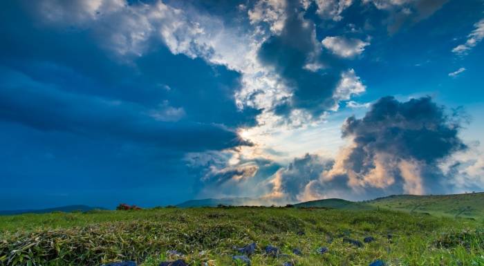 家电消费趋势迭代周期又缩短?双12京东金榜给出答案-家电圈官网