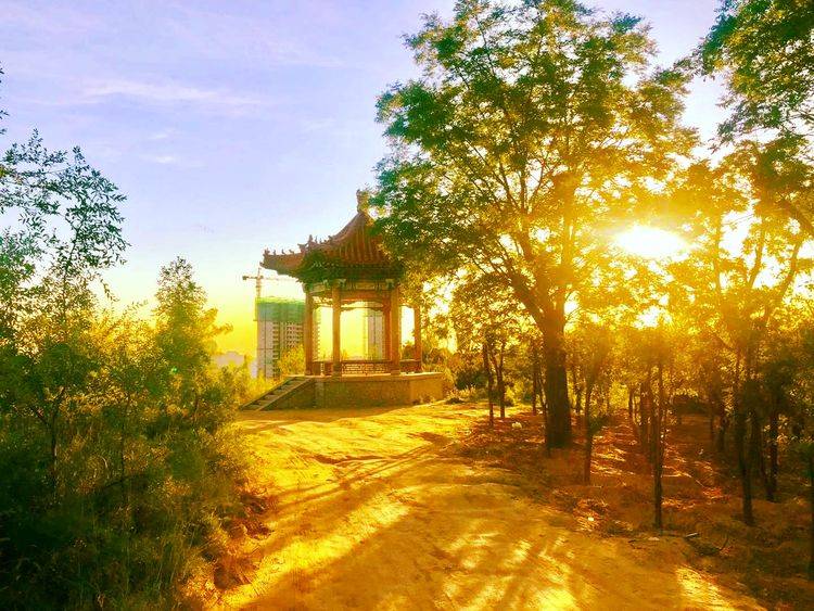 马腾|诗词：冬月夜夜霜，白日天天阳；皆道今冬冷，冰雪降何方？