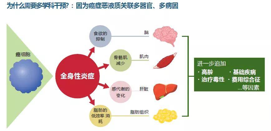 患者之殇恶液质肿瘤治疗路上的拦路虎