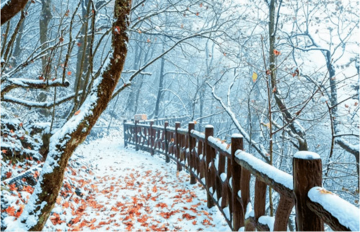 晋网红 这个冬天,把眉山穿在身上,谁看谁心动~