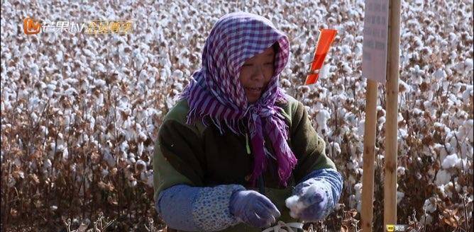 陈小春|张智霖上综艺大尴尬，叫一个比自己大5岁的人阿姨！