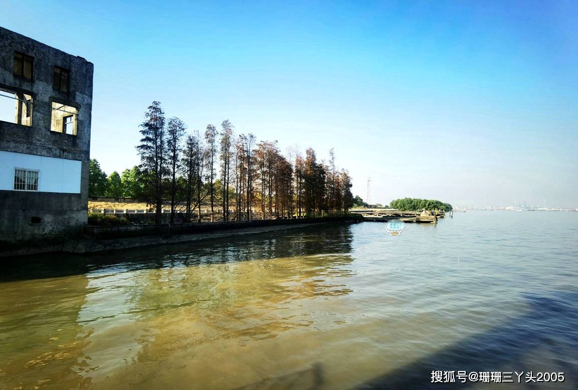 广州“唯一”国家级渔港，充满原始渔家风情，宝藏级的免费拍照地