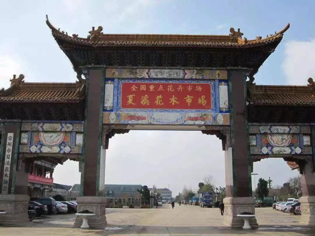夏溪花木 × 电子牵 | 农业交易合规数字化转型_管理_市场_企业