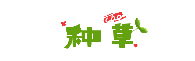 毛囊“换季就变丑”？容貌焦虑的我有多难，你知道吗~