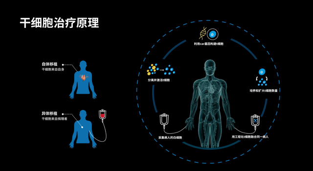 疾病克星一句话读懂干细胞一张图了解干细胞治疗