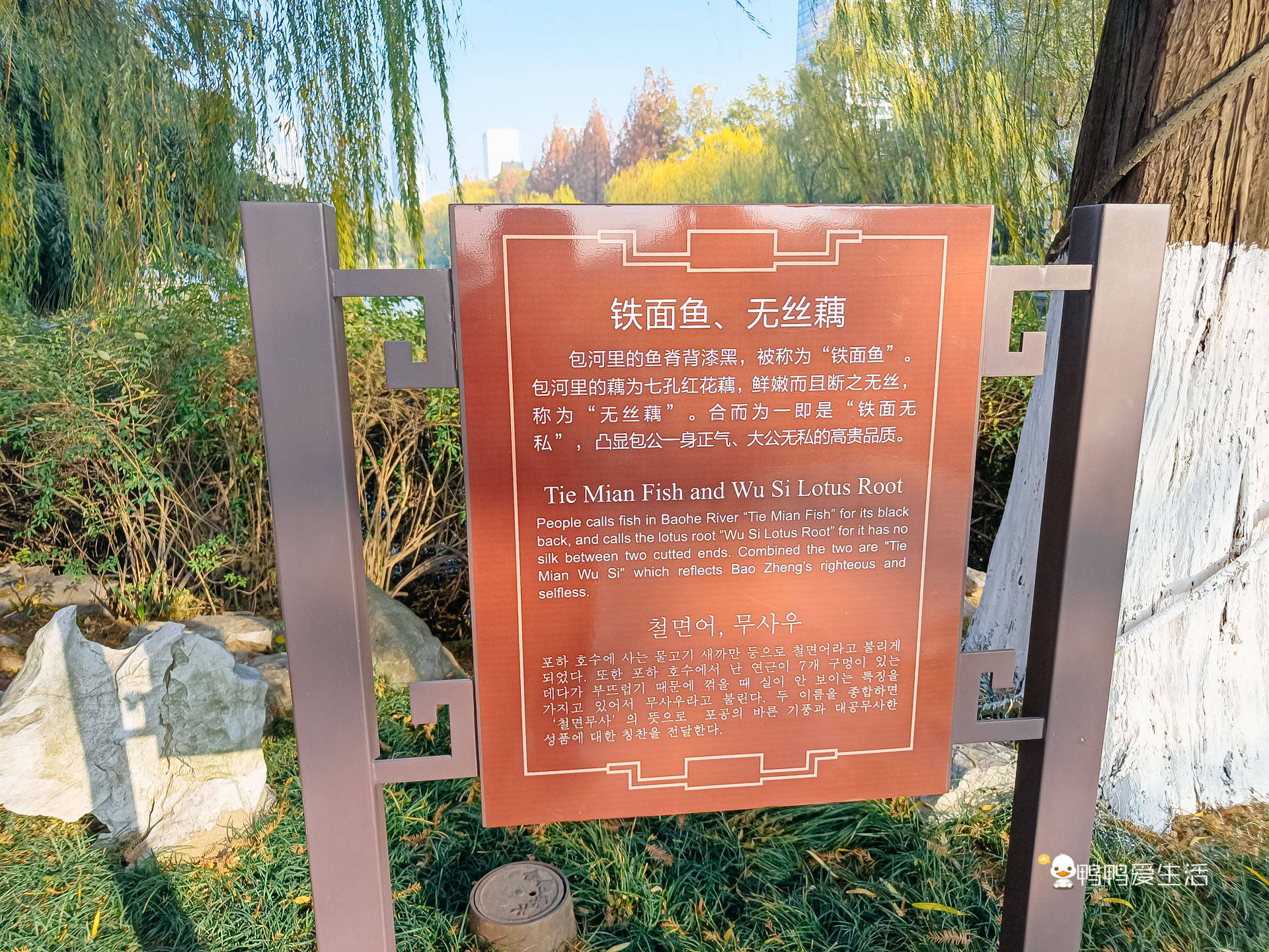 廉泉井|合肥三大古迹之包公祠，清幽雅致，游客却发现包拯塑像帽翅不对称