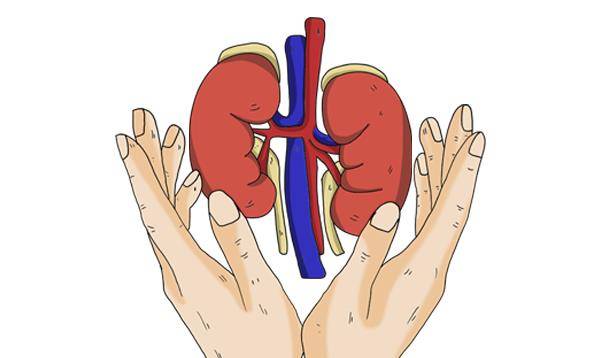 症状|从肾病到肾衰竭，一般要经历哪些过程？牢记3个要点，轻松预防