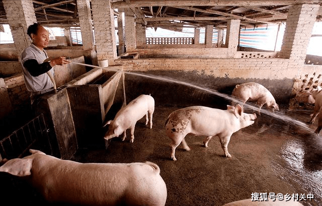 ae07e72c327146408dba41ae94b02f5a.png