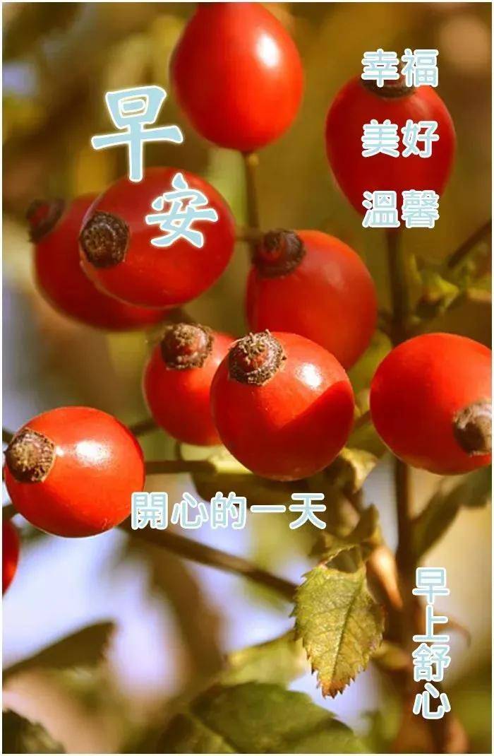 8張非常漂亮清新簡約冬日早上好圖片帶字 聊天不用打字早安問候祝福語