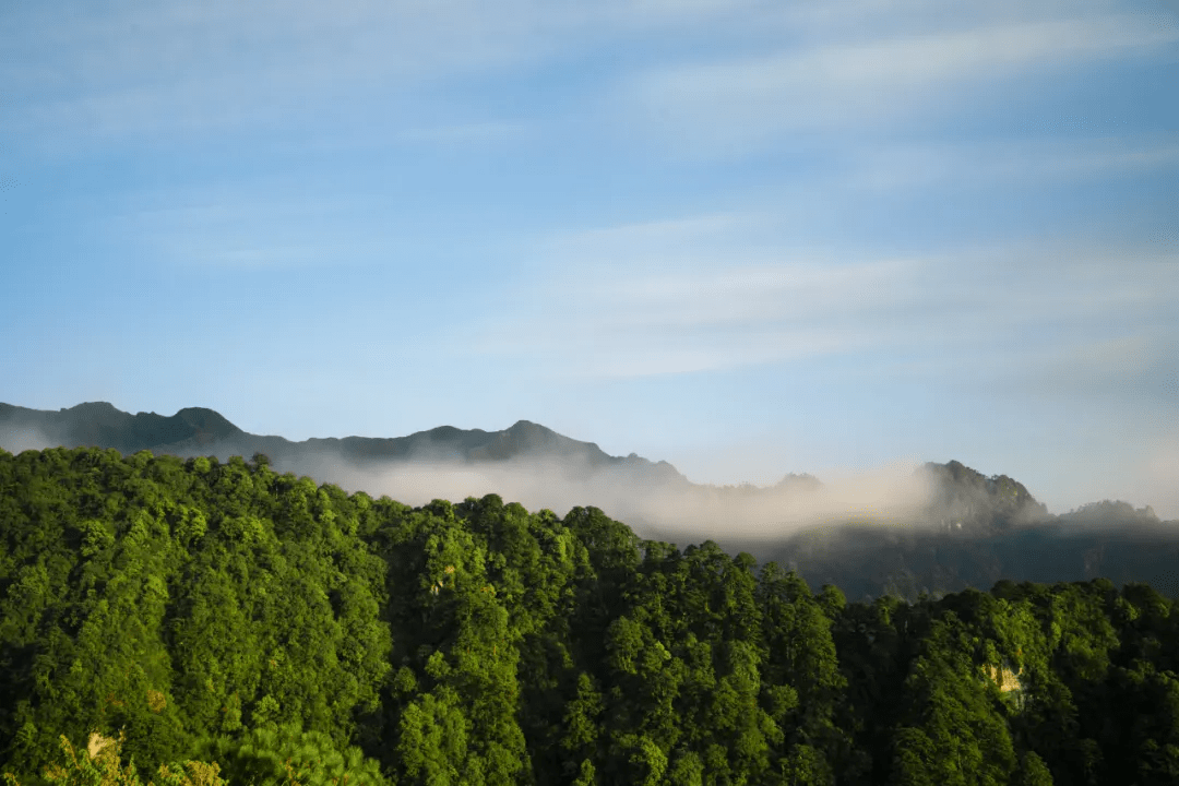 田园|栖居在腾冲过诗意生活