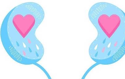 肾脏|肥胖的人,为何更易发生肾结石?如何预防呢?