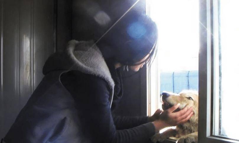 2010年,成都女孩把狼带回家当孩子养,放归10年后再次相认让人感动