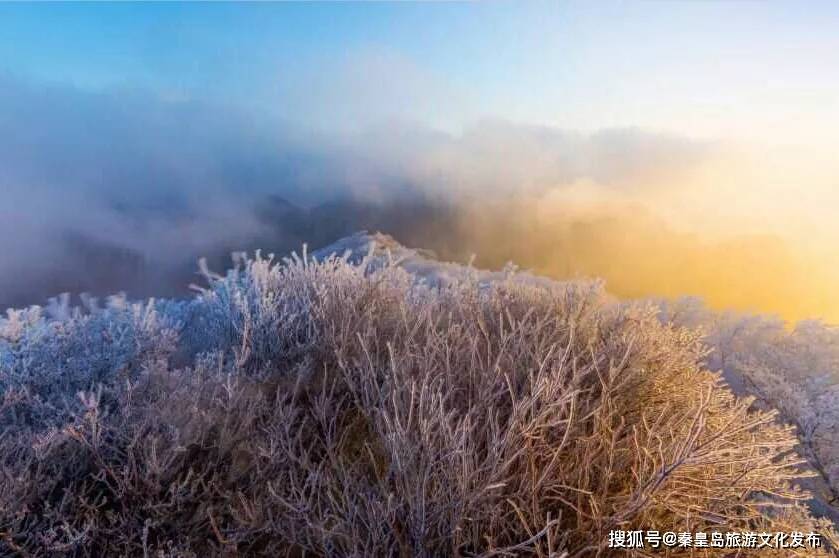 青龙县|秦皇岛惊现雾凇奇观，美爆了~