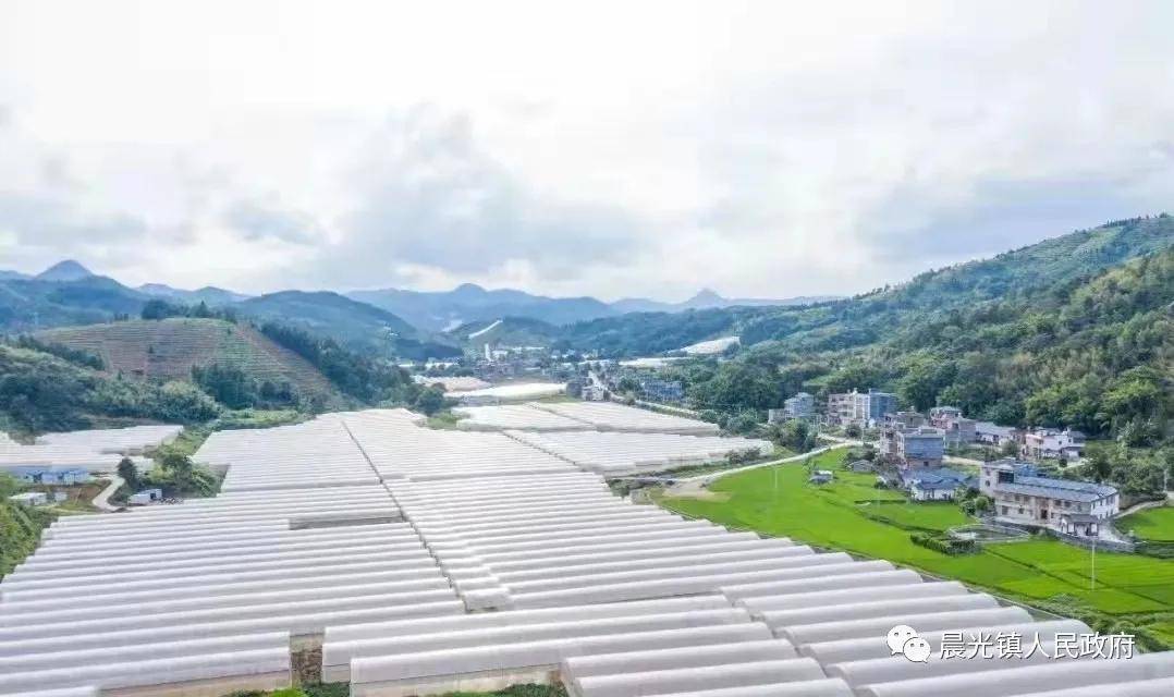 寻乌县晨光镇人民政府推动农业高质量发展让群众增收有保障
