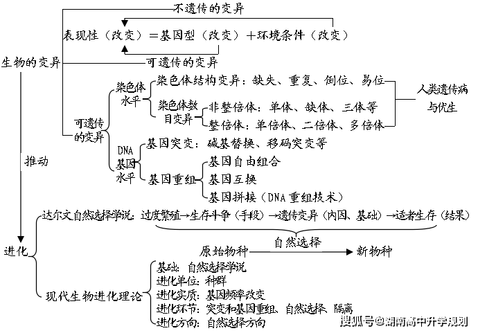 生物的變異與進化遺傳的基本規律遺傳的物質基礎生命中的能量人和動物