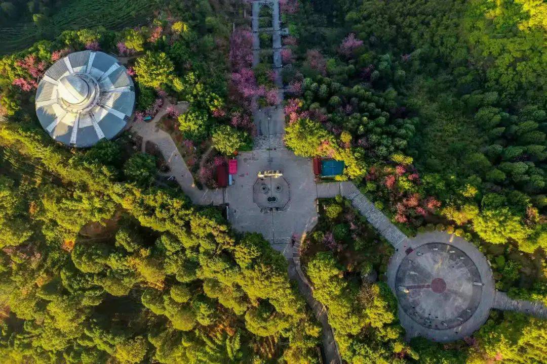 遇见爱情墨江北标园户外婚礼