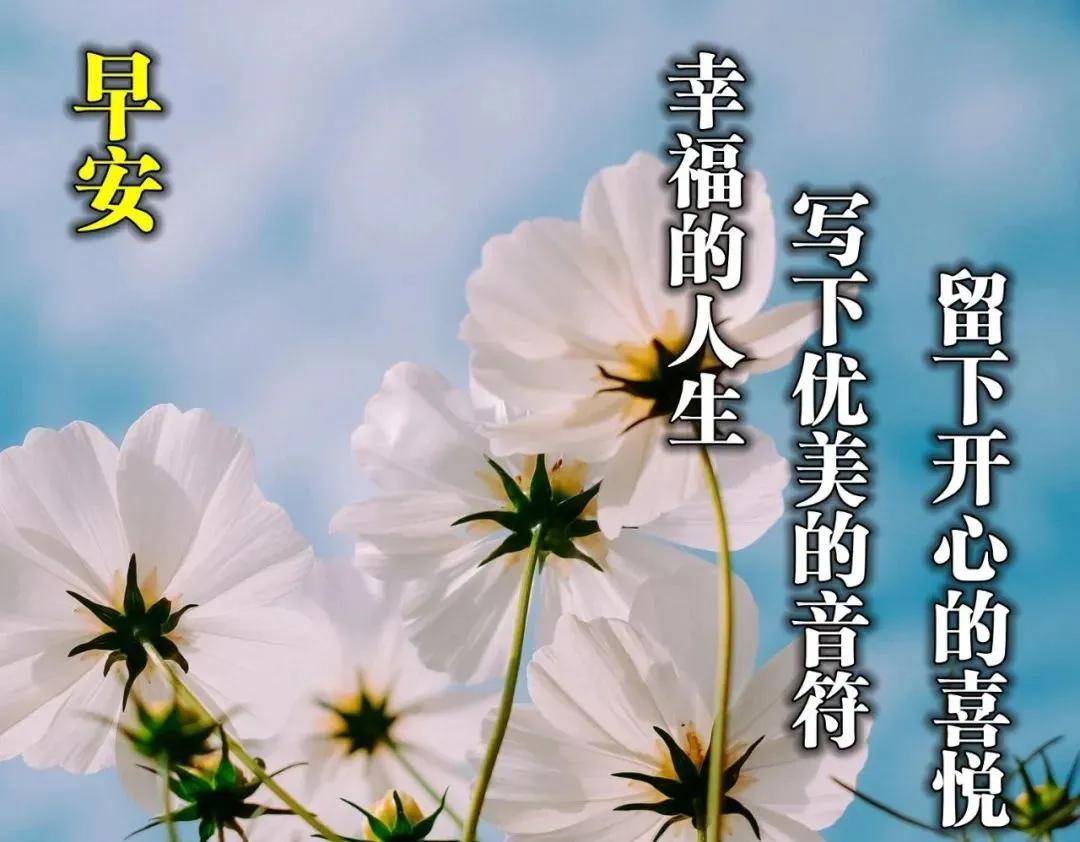 特別漂亮早安問候語動態圖片2021微信會閃動的精美祝福早安動圖