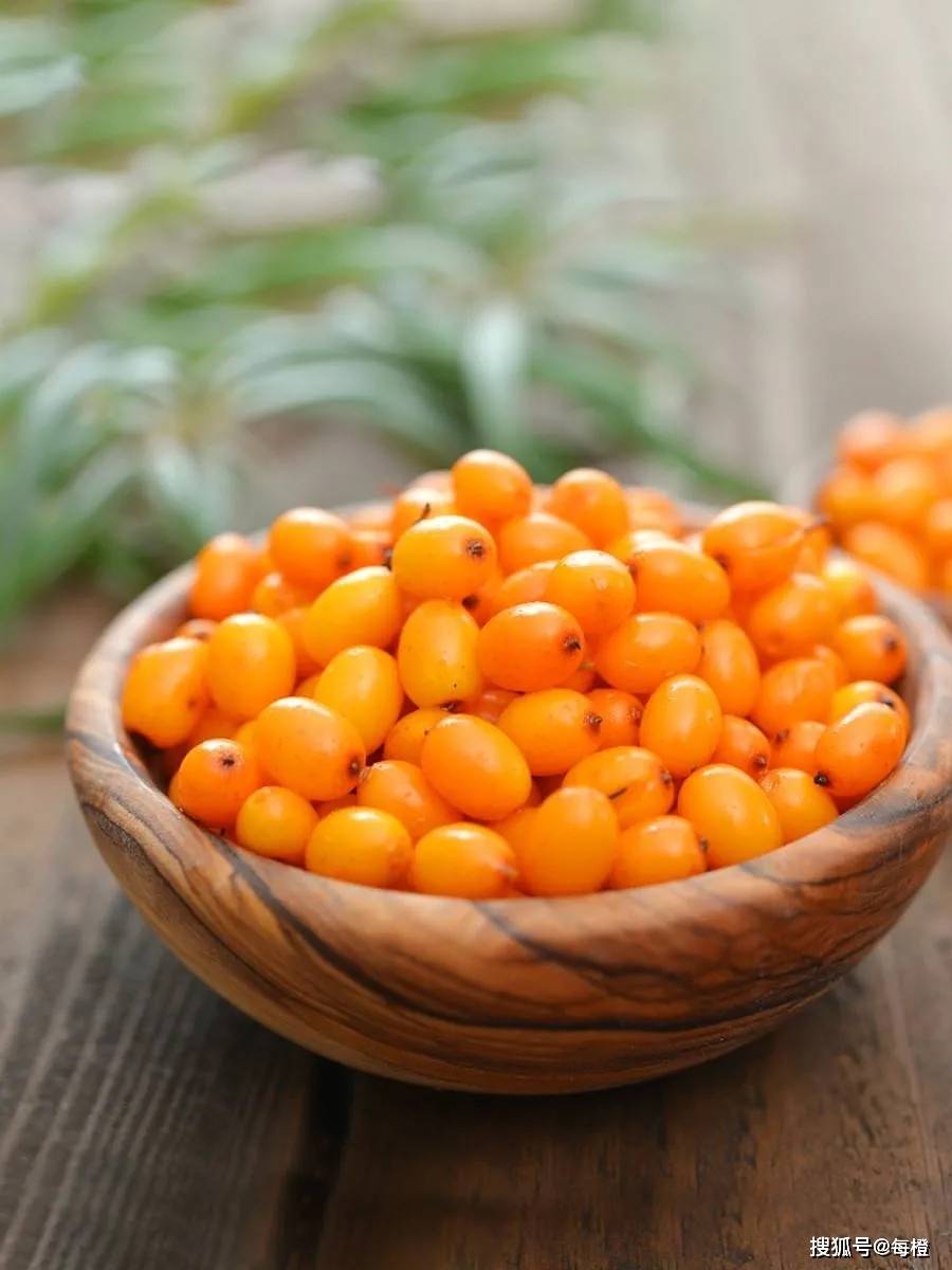 家乡美食贫瘠高山出美味吕梁沙棘