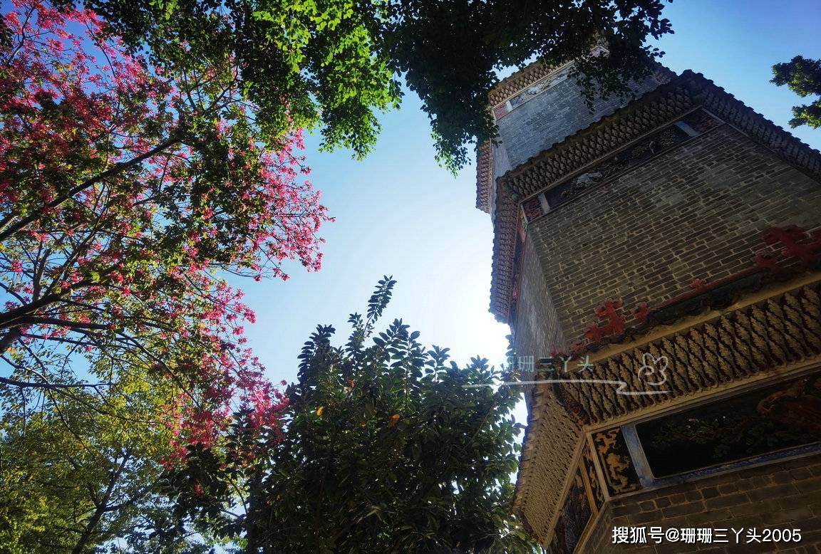 广州这以“井”命名古村，有座古塔，旁边开满“粉红”花儿，美！
