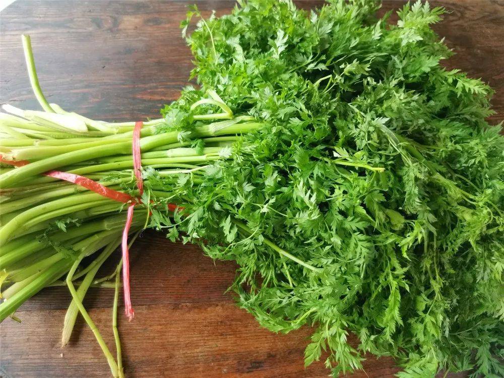 农村7种野芹菜 其中5种相当美味 后2种有毒 采摘请注意 老山 东北 香味