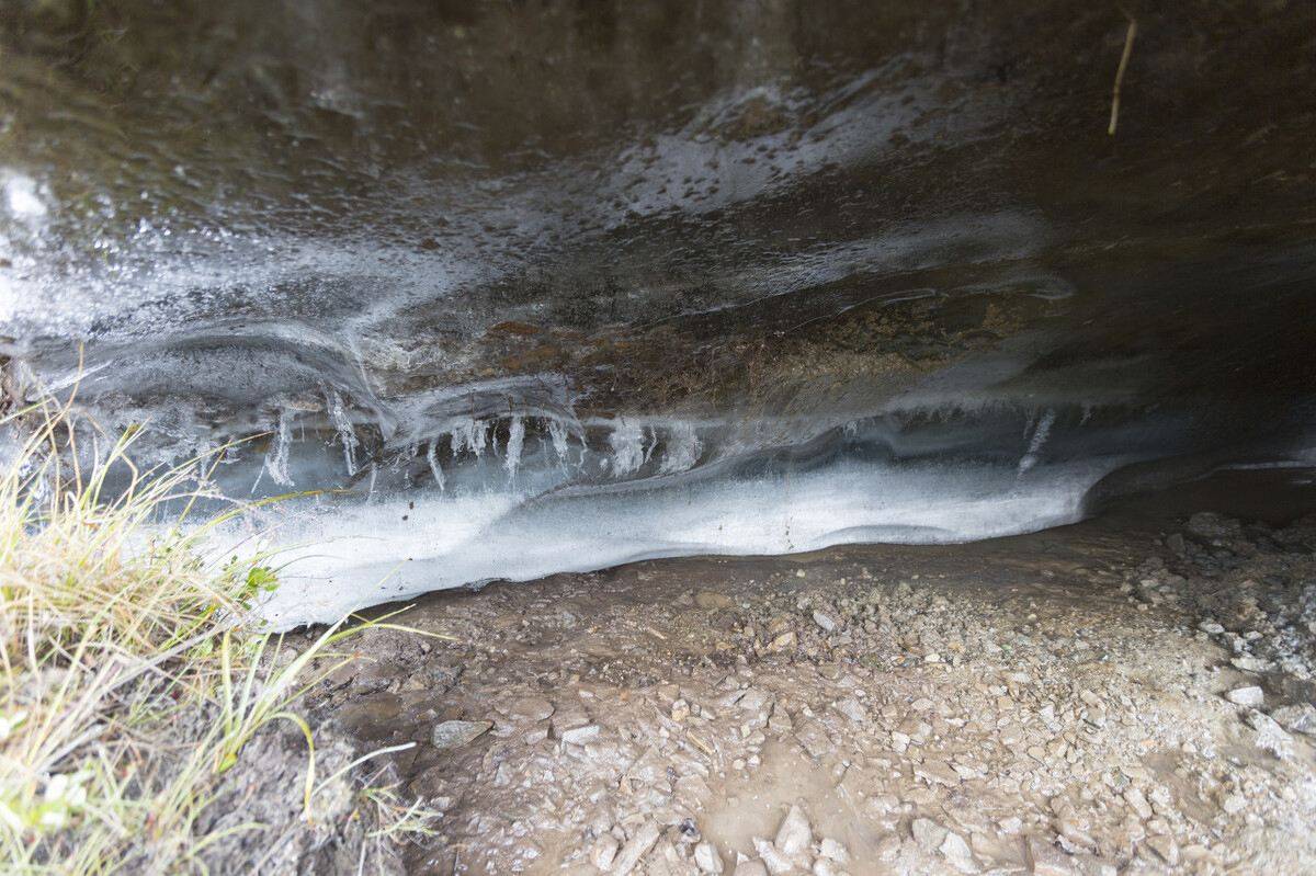 史前生物战斗力排行榜_海贼王1043话:史前生物对阵最强生物,果然和之国开国离不开象主