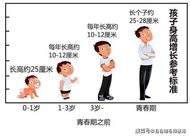 同学|妈妈：不挑食才能长高，4岁孩子打脸：我们班最高的同学也挑食