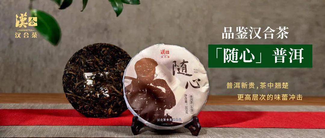 2019薄荷塘古树茶价格