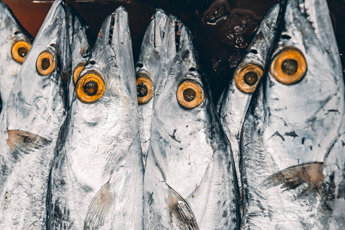 买带鱼时,要分清"黄眼"和"白眼",差距挺大,弄懂再买不吃亏_口感_整盒