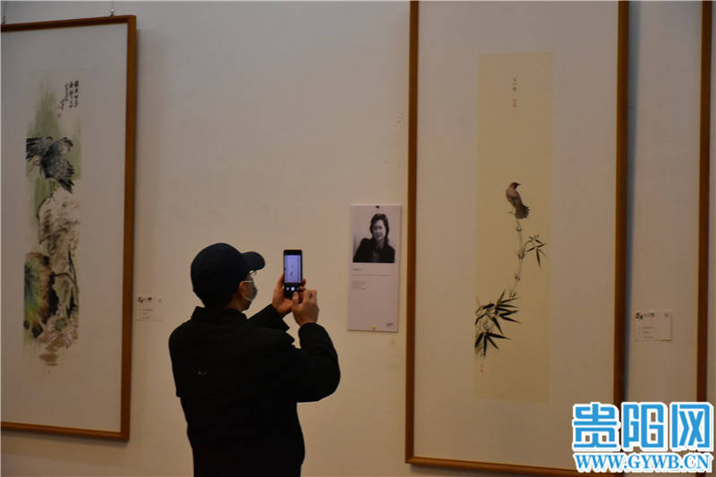 市民|【图集】“贵阳美术馆年度中国花鸟画学术交流展”人气火爆