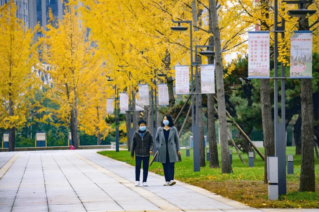 建设|绿意焕新 精管细护 西安航天基地奋力绘就公园城市新画卷