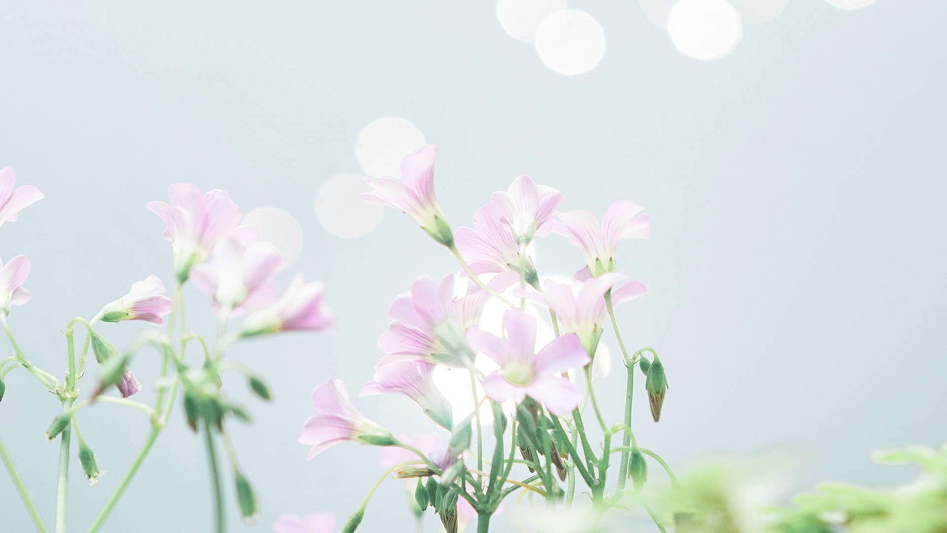 原创最宝贵的不是你拥有的物质而是陪伴在你身边的人